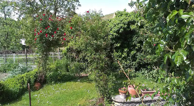 Ferielejlighed i Bischoffingen