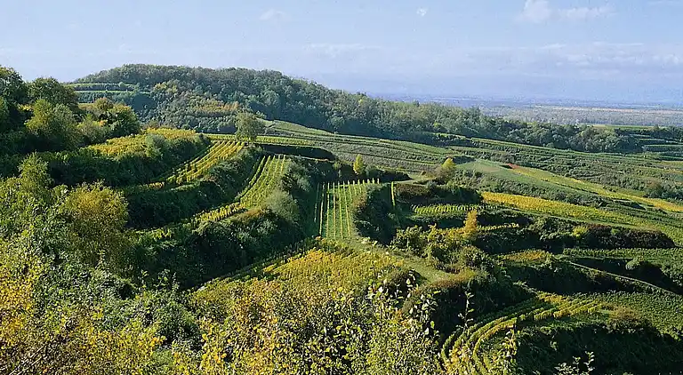 Ferielejlighed i Bischoffingen