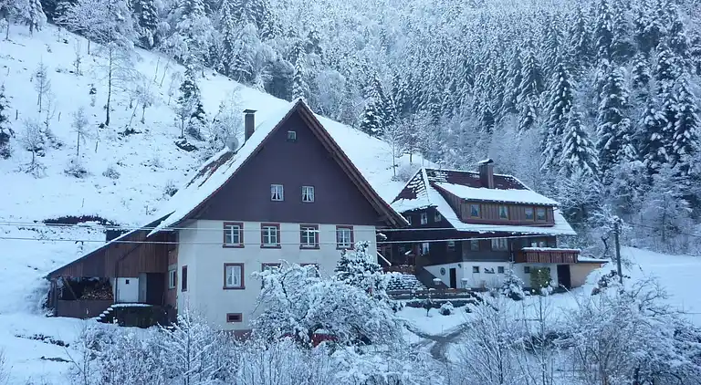 Sommerhus i Simonswald