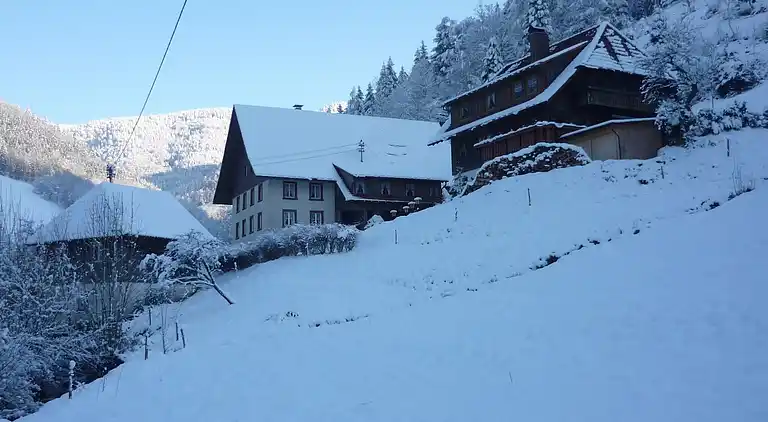 Sommerhus i Simonswald