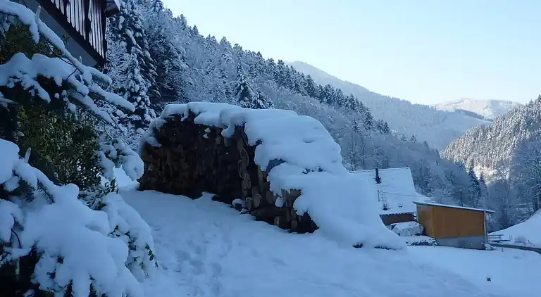 Sommerhus i Simonswald