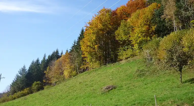 Sommerhus i Simonswald
