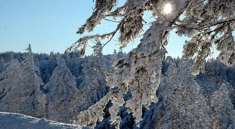 Sommerhus i Simonswald