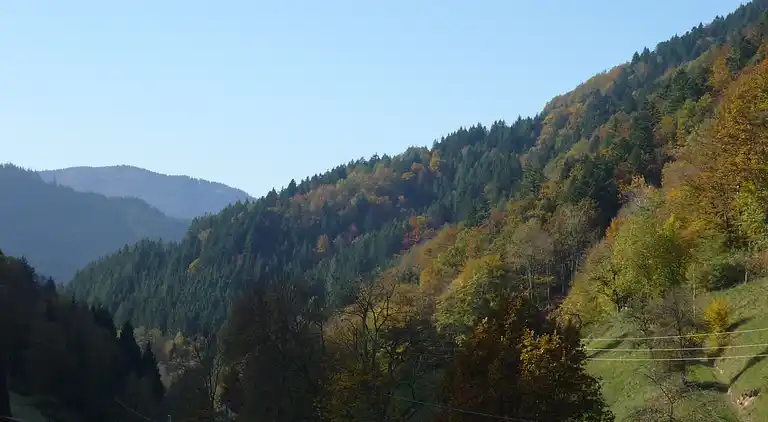 Sommerhus i Simonswald