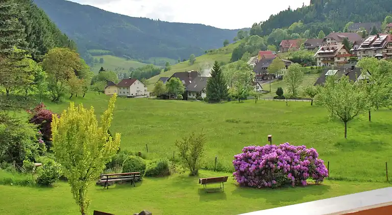 Herregård i Haslach-Simonswald