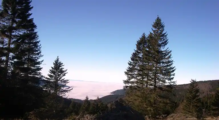 Herregård i Haslach-Simonswald