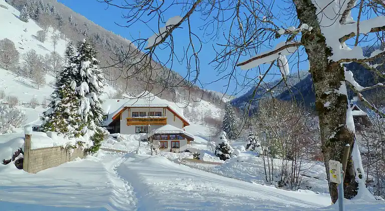 Ferielejlighed i Brandenberg