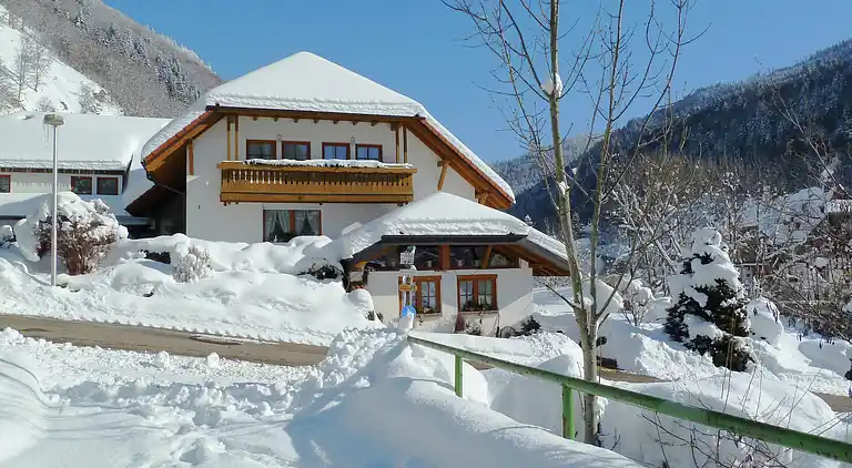 Ferielejlighed i Brandenberg