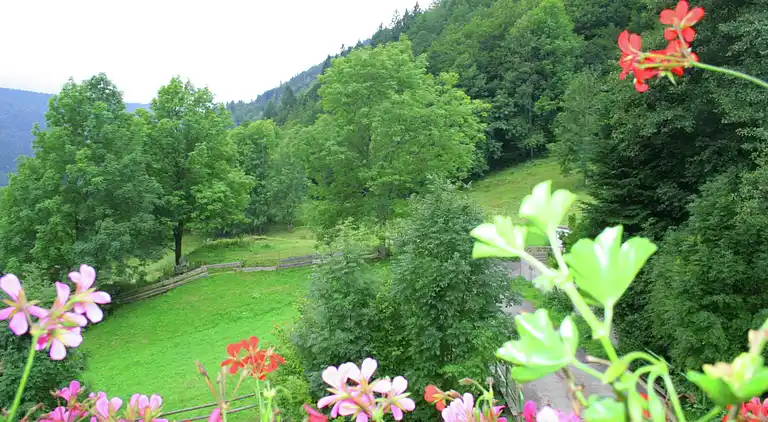 Ferielejlighed i Brandenberg