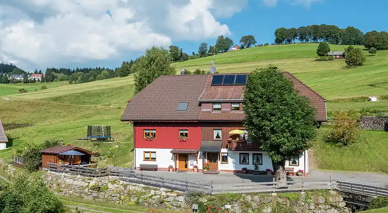 Ferielejlighed i Todtnauberg