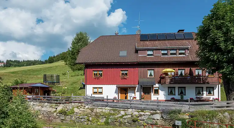 Ferielejlighed i Todtnauberg