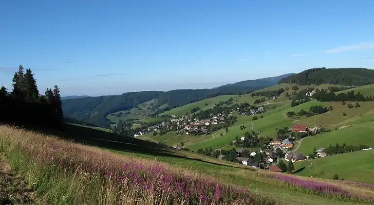 Ferielejlighed i Todtnauberg