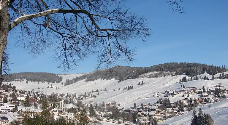 Ferielejlighed i Todtnauberg