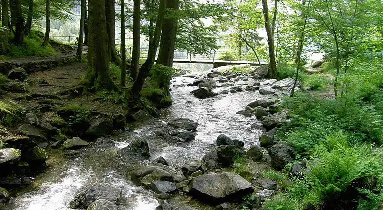 Ferielejlighed i Todtnauberg