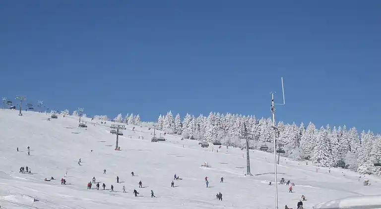 Ferielejlighed i Todtnauberg