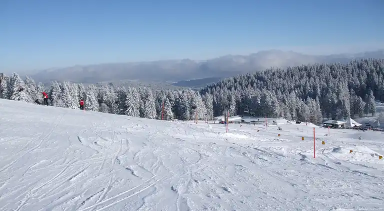 Ferielejlighed i Todtnauberg