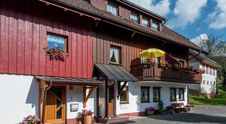 Appartamento in Todtnauberg