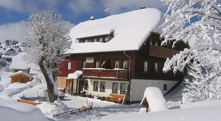 Appartamento in Todtnauberg