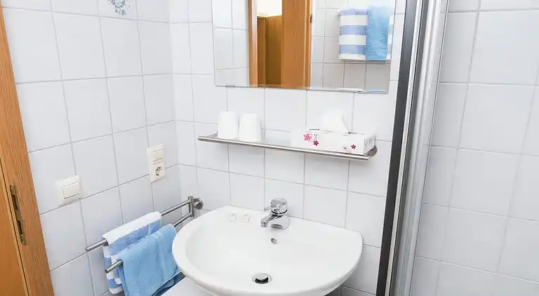 Appartamento in Todtnauberg