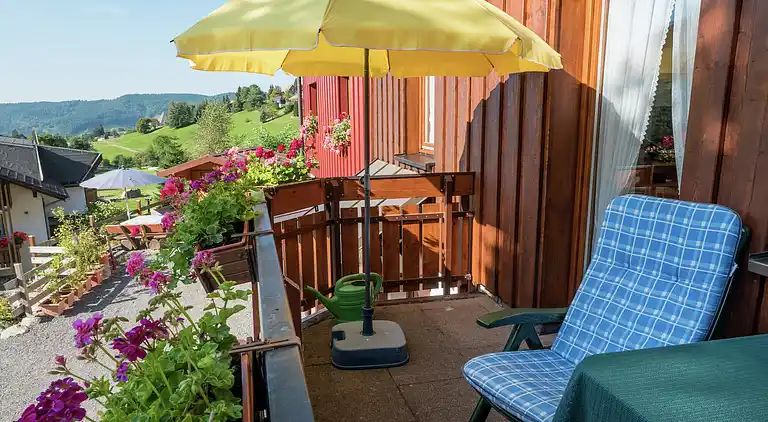 Appartamento in Todtnauberg