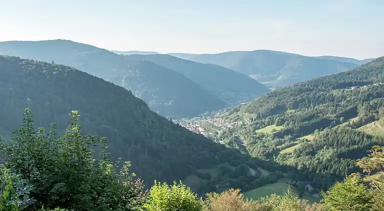 Appartamento in Todtnauberg