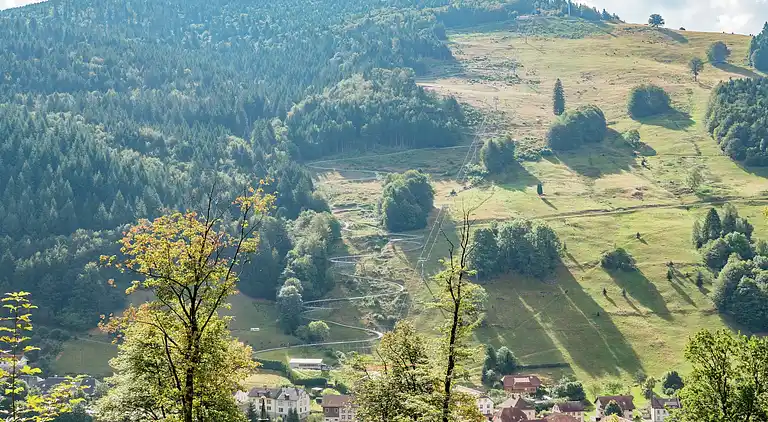 Appartamento in Todtnauberg