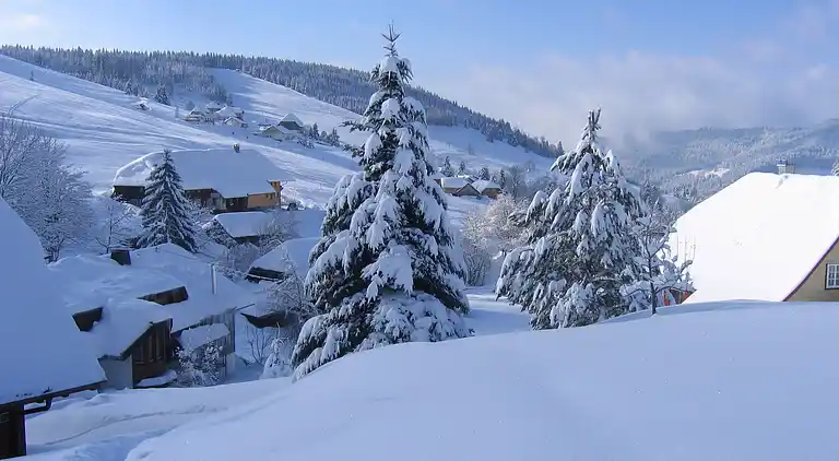 Appartamento in Todtnauberg