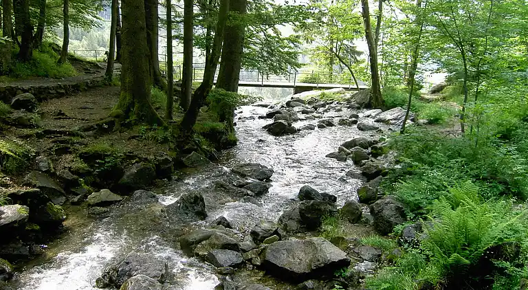 Appartamento in Todtnauberg