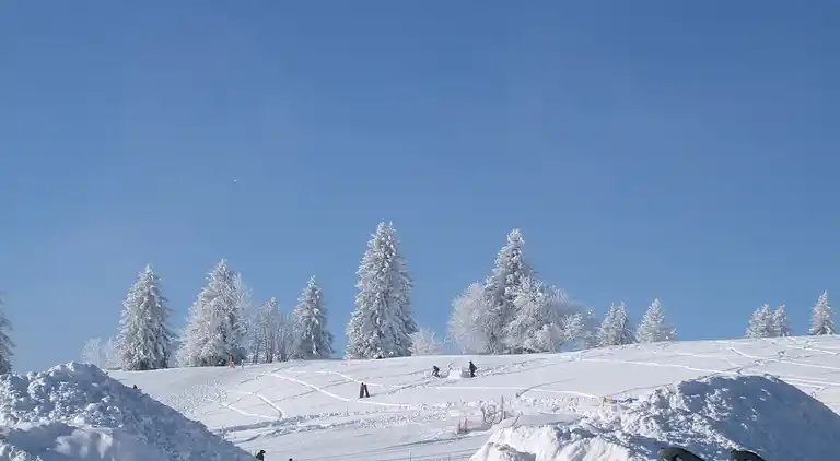 Appartamento in Todtnauberg