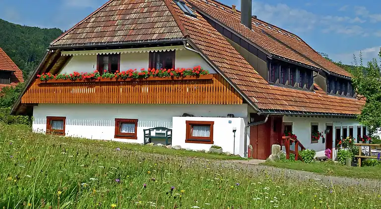 Apartment in Rickenbach