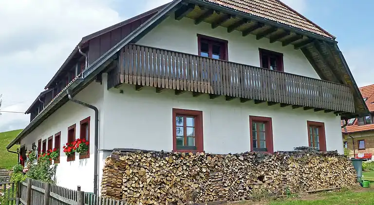 Apartment in Rickenbach