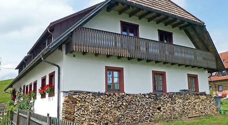 Apartment in Rickenbach