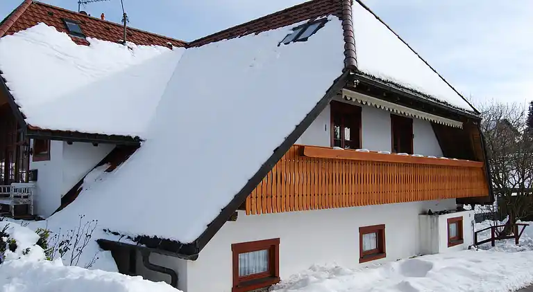 Apartment in Rickenbach