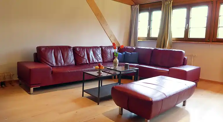 Apartment in Rickenbach