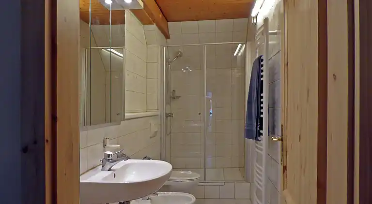 Apartment in Rickenbach