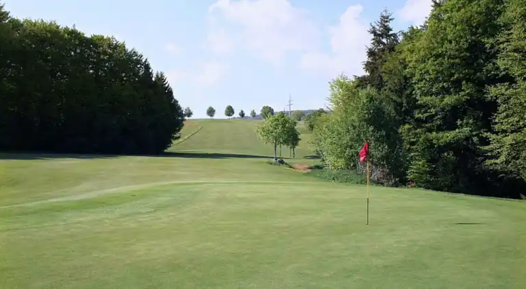 Apartment in Rickenbach