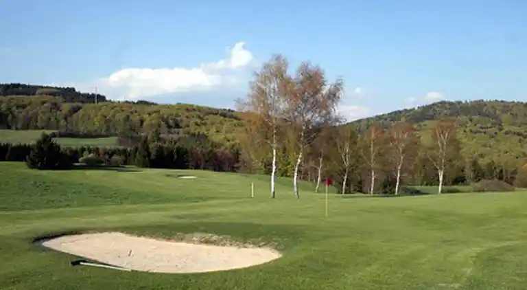 Apartment in Rickenbach