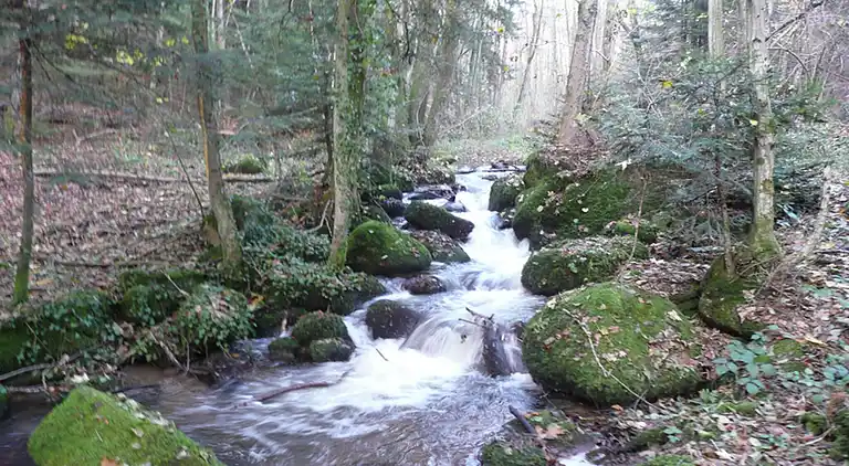 Apartment in Rickenbach