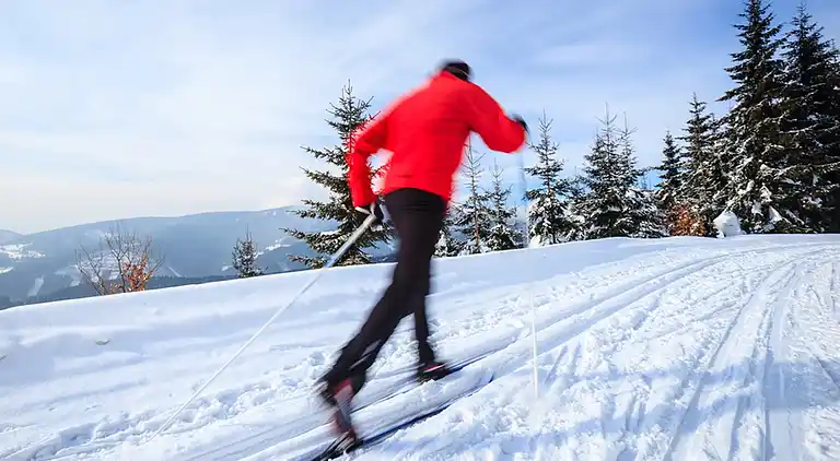 Apartment in Rickenbach