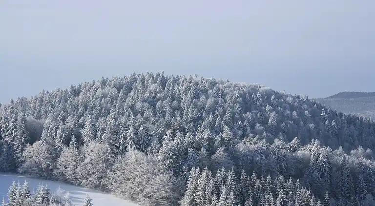 Gårdhus i Wehrhalden