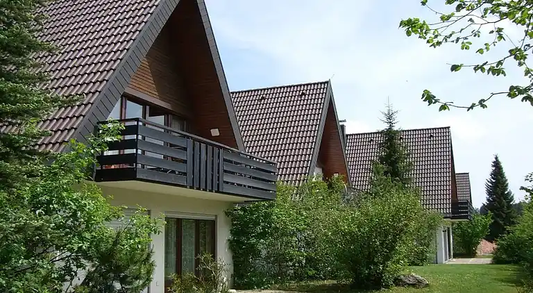 Apartment in Herrischried