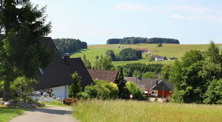 Apartment in Herrischried