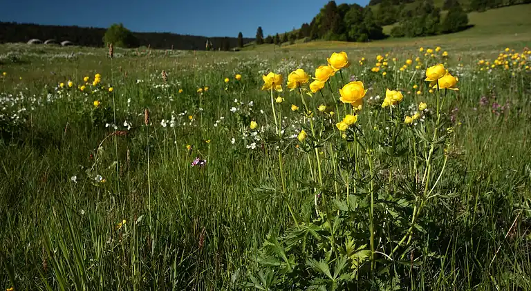Ferielejlighed i Gaß
