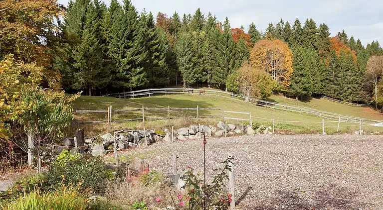 Apartment in Inner-Urberg