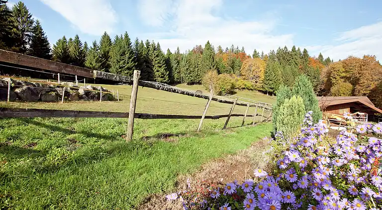 Ferielejlighed i Inner-Urberg