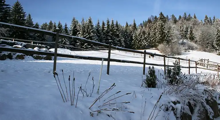 Ferielejlighed i Inner-Urberg