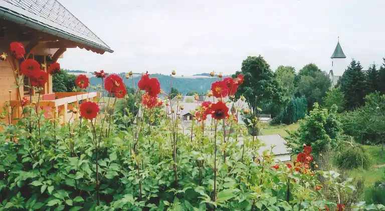 Ferienwohnung in Urberg