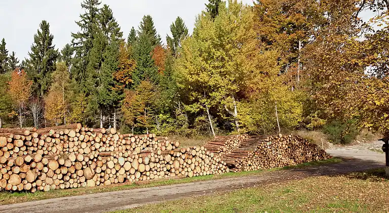 Ferienwohnung in Urberg