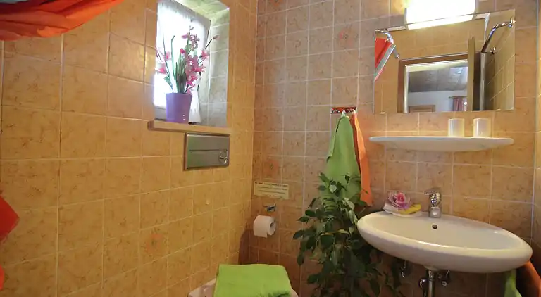 Lägenhet i Bad Bayersoien