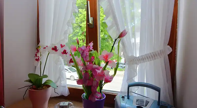 Lägenhet i Bad Bayersoien